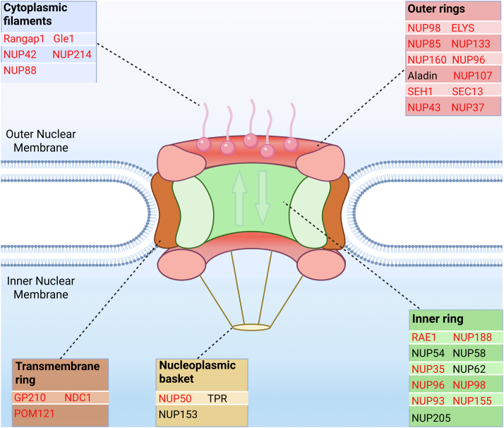 Figure 17