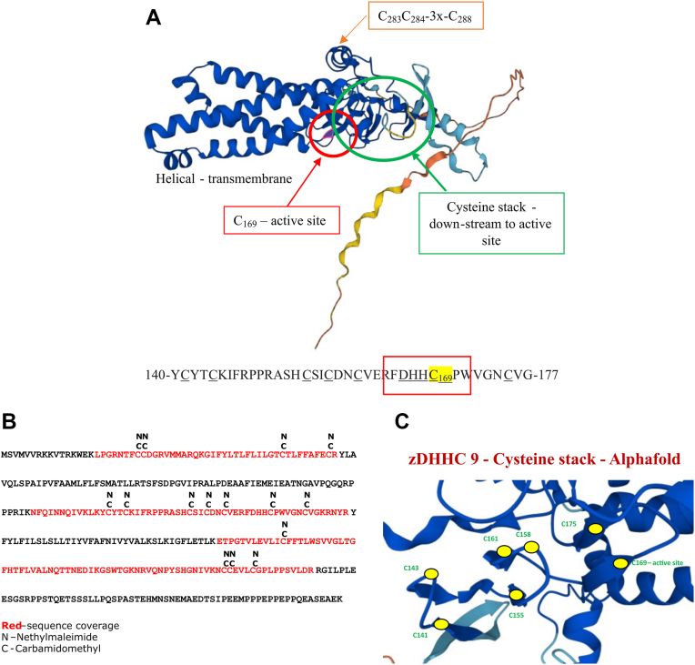 Figure 18