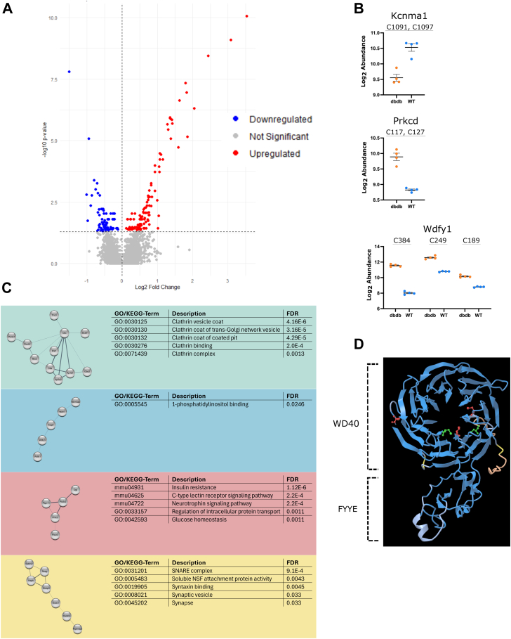Figure 21