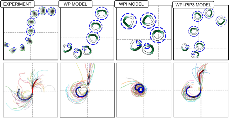 Figure 8
