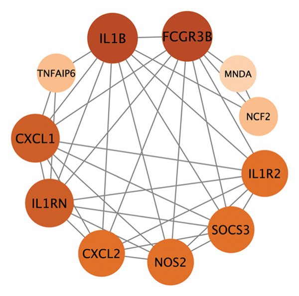 Figure 10