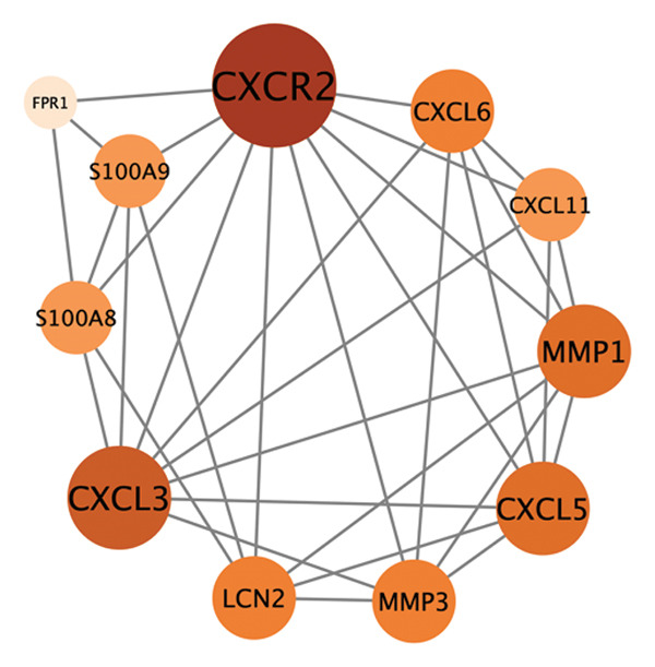 Figure 11
