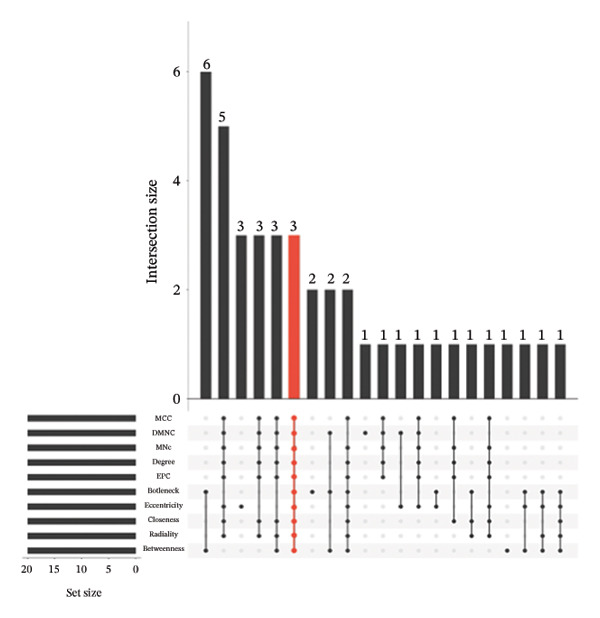 Figure 12