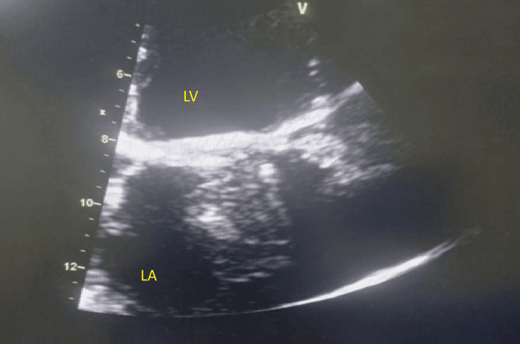 Figure 5