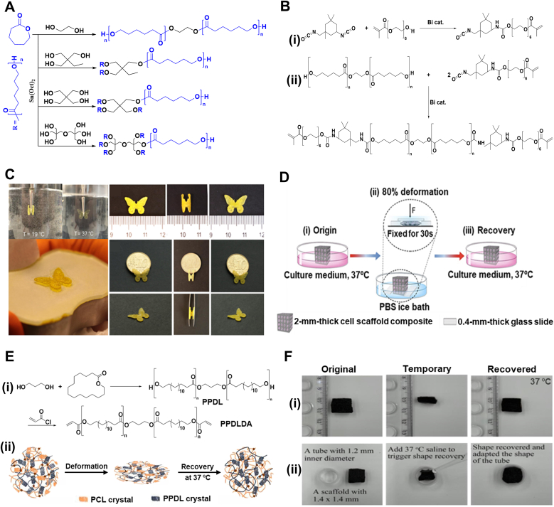Figure 20