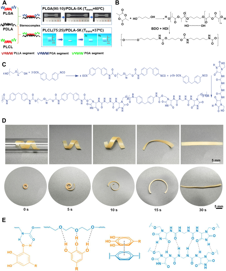 Figure 22