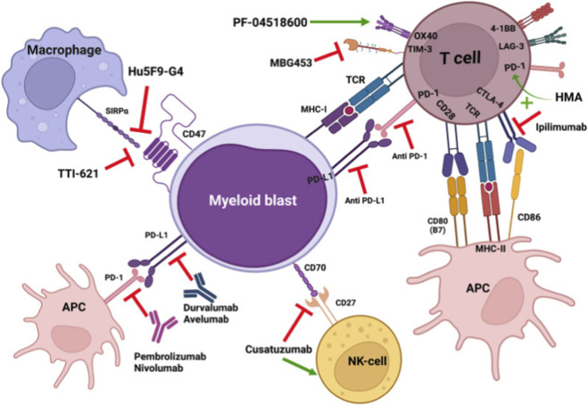 Figure 15