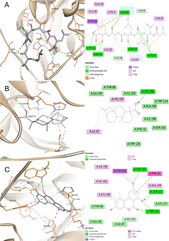 Figure 14