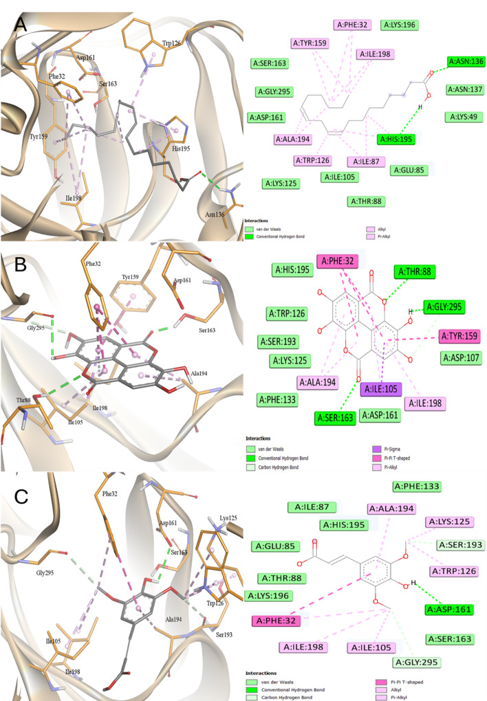 Figure 15