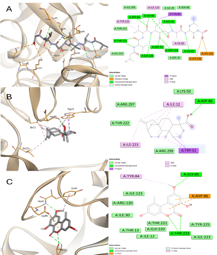 Figure 16