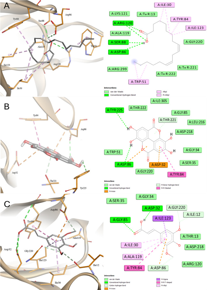 Figure 17