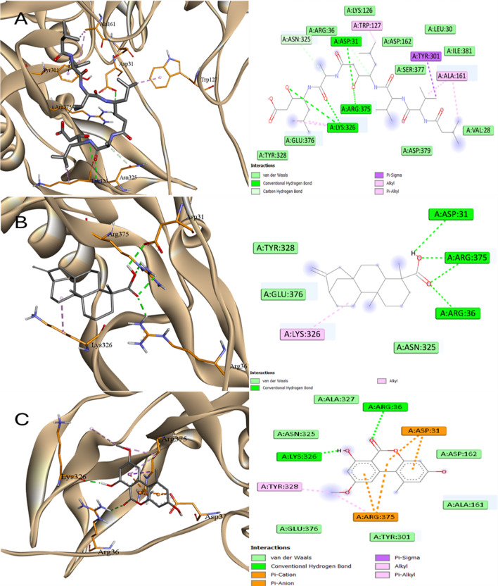 Figure 18