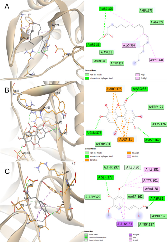 Figure 19