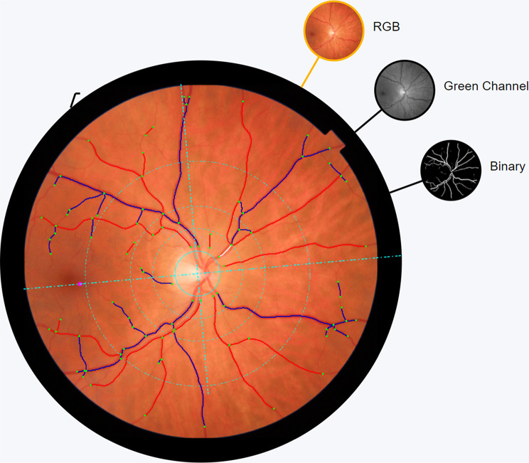 Figure 2