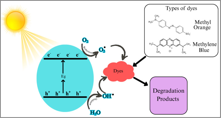 Fig. 16