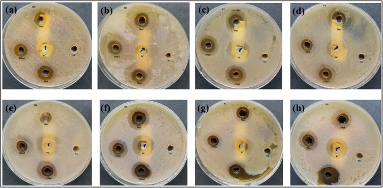Fig. 8