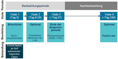ABBILDUNG 1