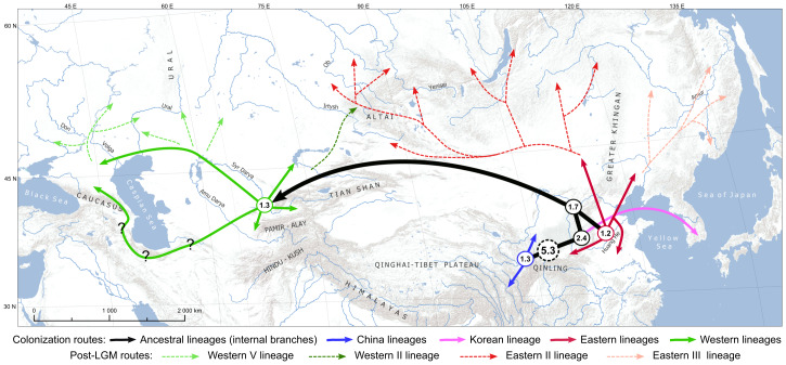Figure 4