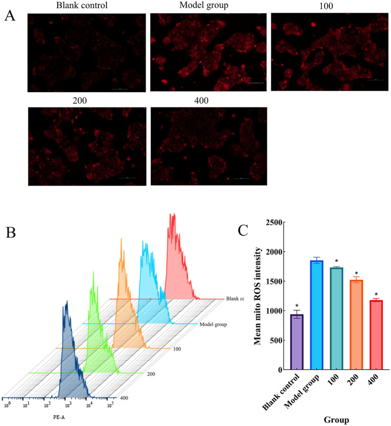 Figure 6