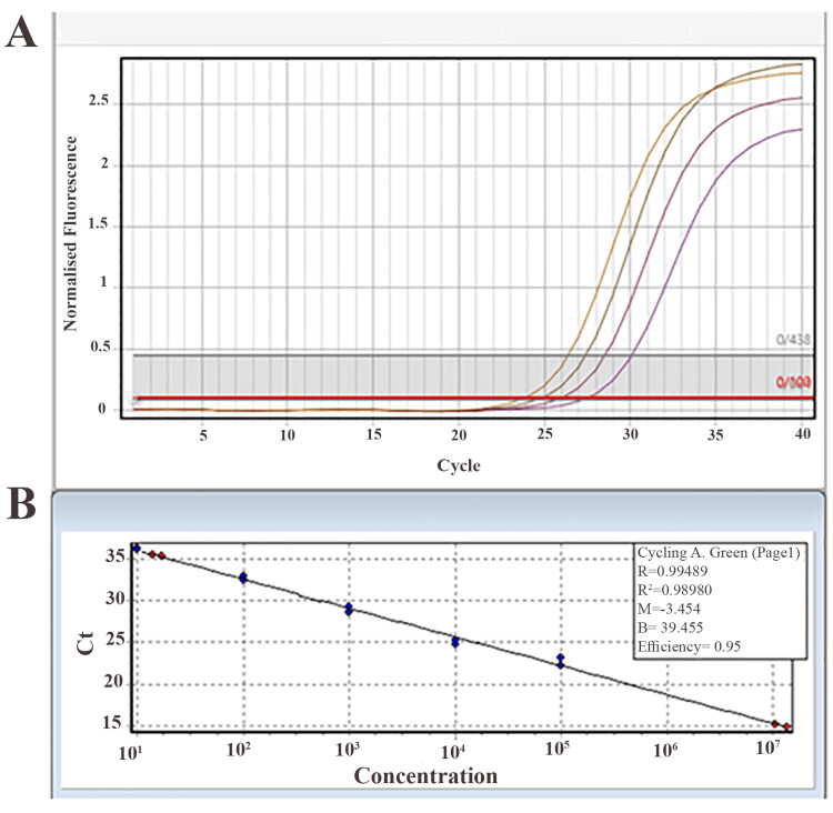 Figure 5