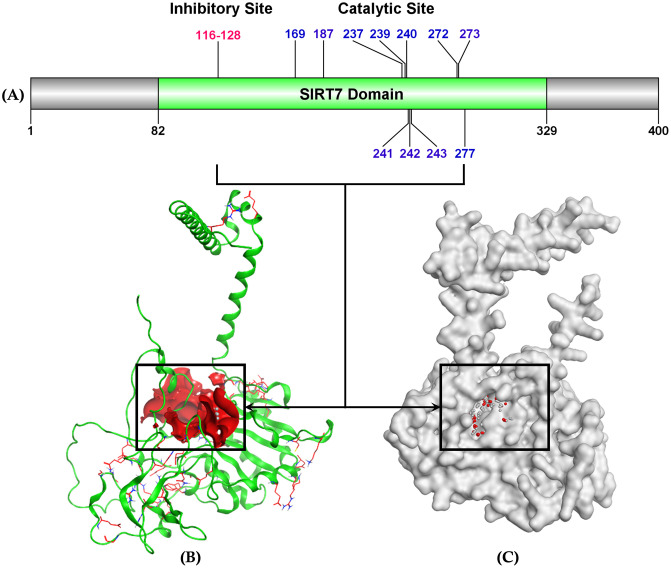 Fig 8