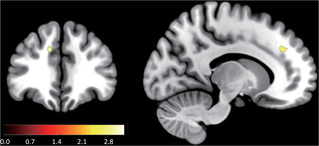 Fig 6