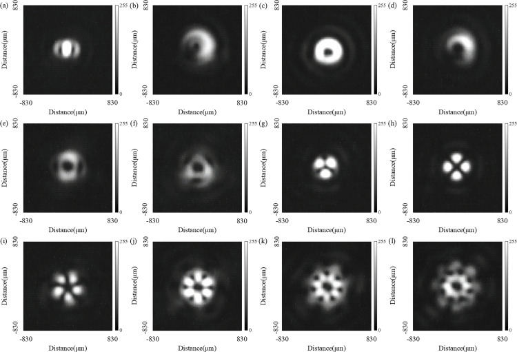 Fig 11