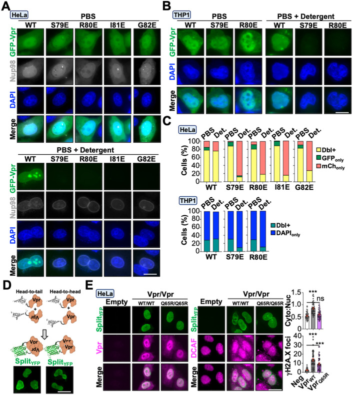 Fig 6