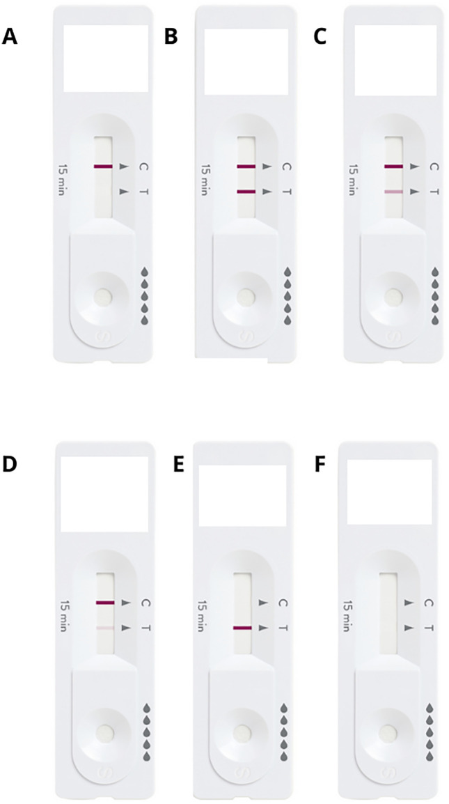 Fig 1