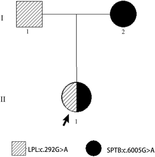 FIGURE 1