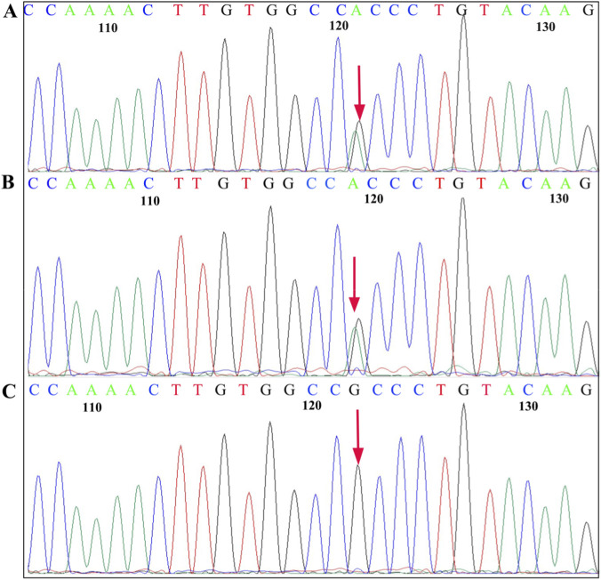 FIGURE 4