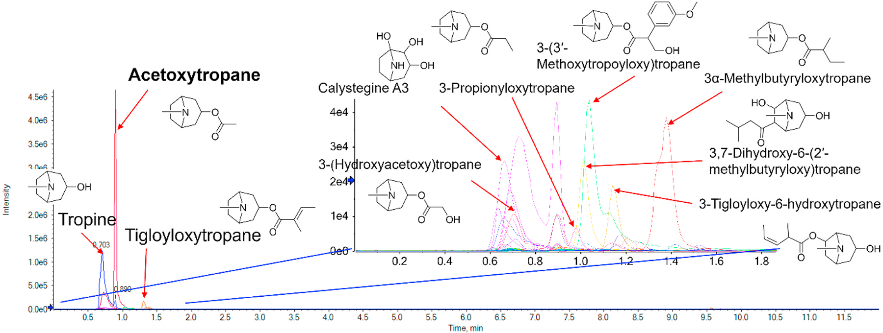 Figure 5