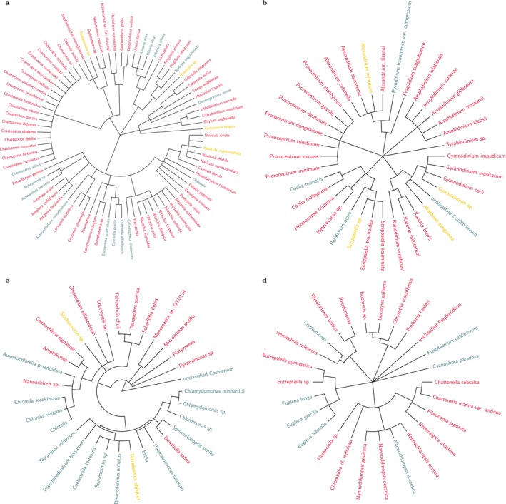FIGURE 3
