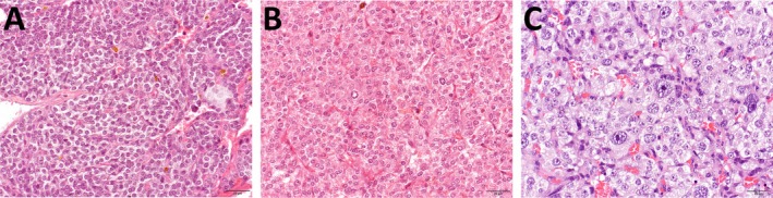 FIGURE 3