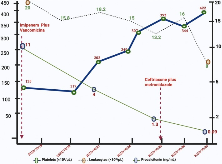 FIGURE 3