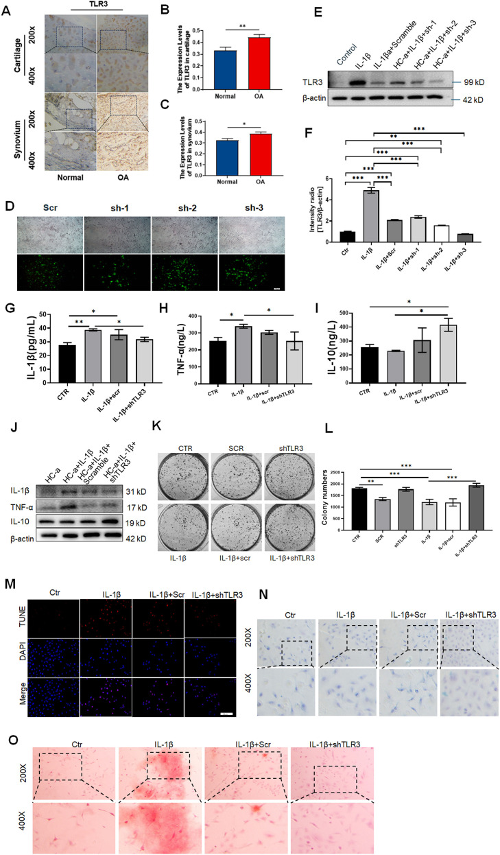 Figure 6