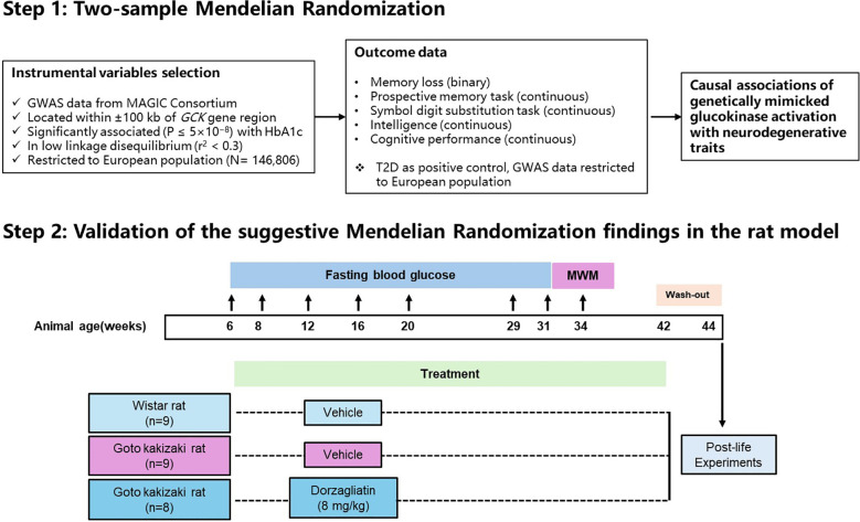 Figure 1