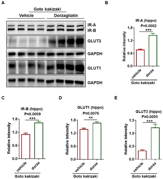 Figure 6