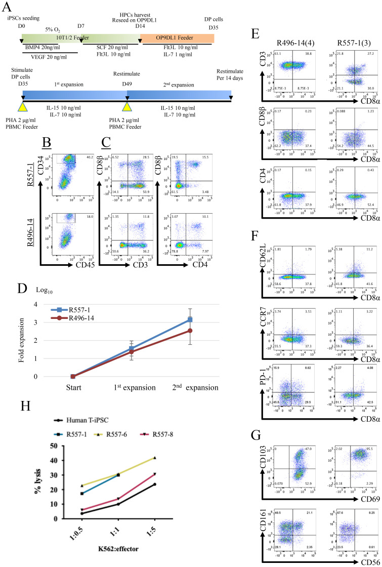 Figure 2