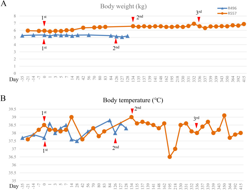 Figure 4