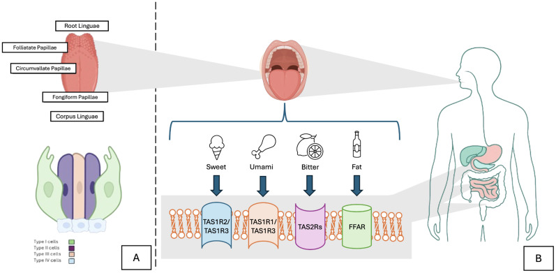 Figure 1