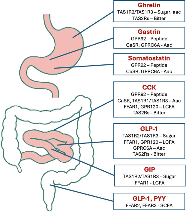 Figure 2