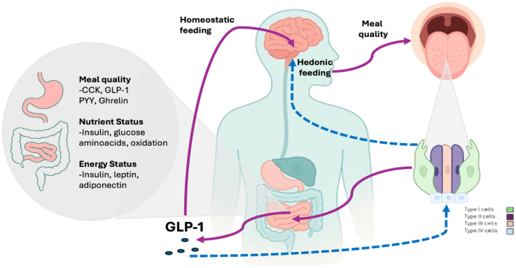 Figure 3