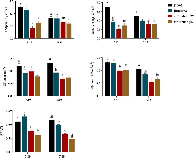 Figure 3