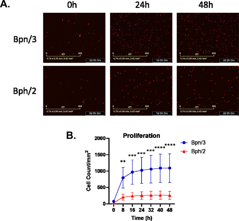 Figure 6
