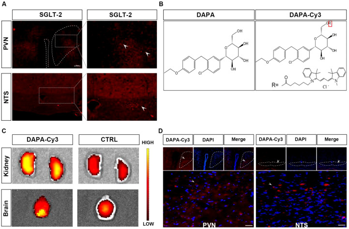 Figure 4