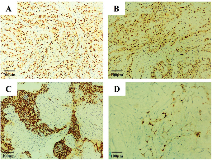 Figure 2