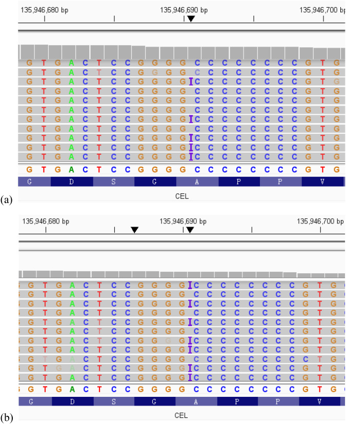 Figure 1