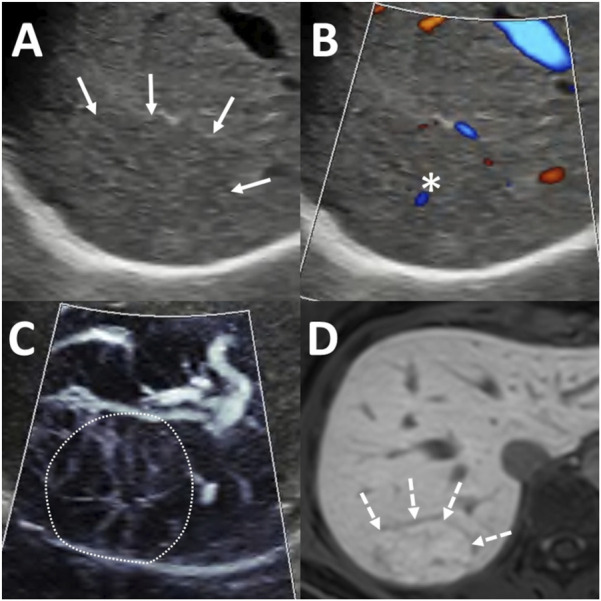 FIGURE 3