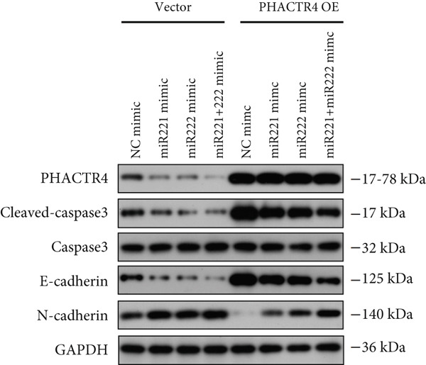 Figure 19